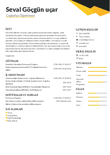 Coğrafya Öğretmeni CV Örnekleri cv indir